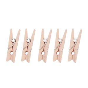 Wooden Clips Natural | Studio Stationery